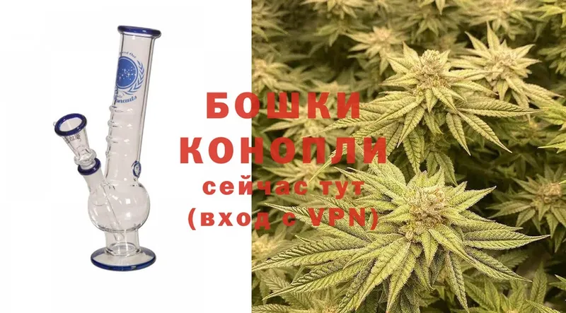 Бошки Шишки SATIVA & INDICA  кракен как зайти  Мензелинск  сколько стоит 